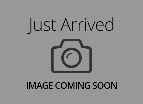 Golden Retriever – 7149