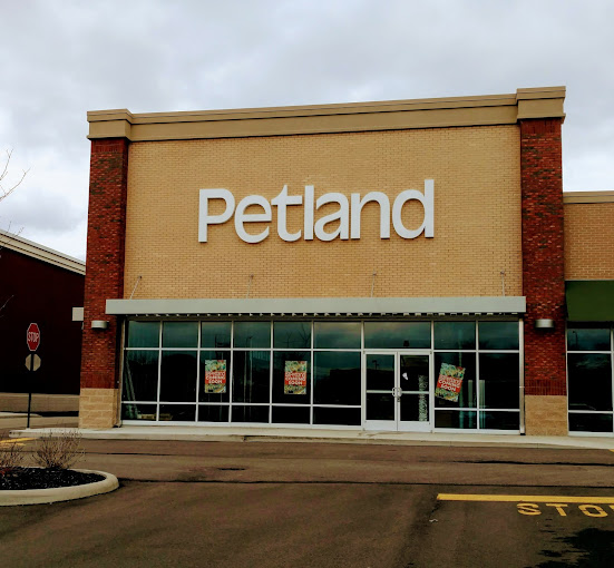 Petland Beavercreek, Ohio Pet Store Buy Pets, Puppies & Supplies